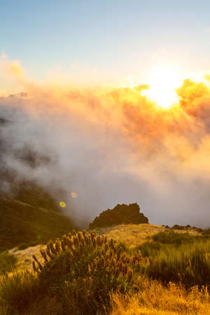 Mountain meadow in sunny day. Natural summer landscape.の写真素材