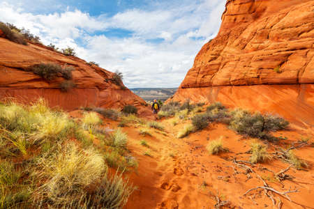 Coyote Buttes of the Vermillion Cliffs Wilderness Area, Utah and Arizona
