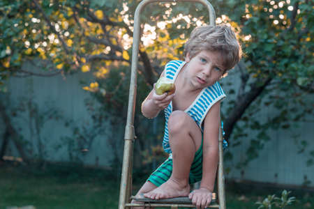 the little boy is harvesting the fall harvest in the gardenの写真素材