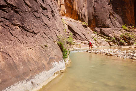 Man hiking in Zion narrow with Virgin river in summer season, Zion National park, Utah, USAの写真素材