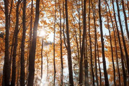 The beautiful lake in Autumn seasonの写真素材
