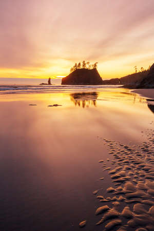 Scenic and rigorous Pacific coast in the Olympic National Park, Washington, USA. Rocks in the ocean and large logs on the beach.の写真素材