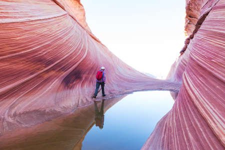 The Wave, Arizona, Vermillion Cliffs, Paria Canyon State Park in the USA. Amazing natural backgroundの写真素材