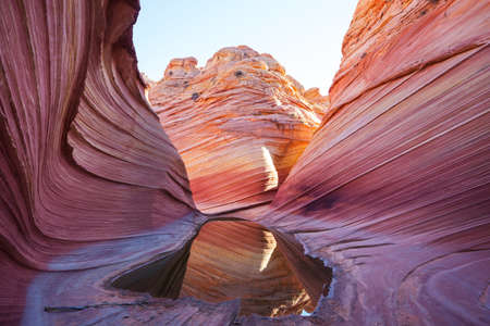 The Wave, Arizona, Vermillion Cliffs, Paria Canyon State Park in the USA. Amazing natural backgroundの写真素材