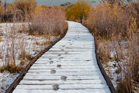 Wooden boardwalk leading on the lake covered with snowの写真素材