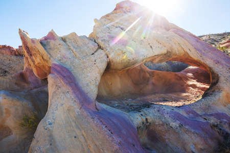Desert landscapes in Nevada state, USAの写真素材