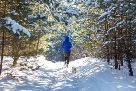 Young woman in  snowy forest  at sunny winter dayの写真素材