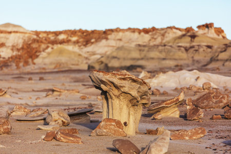 Unusual desert landscapes in Bisti badlands, De-na-zin wilderness area, New Mexico, USAの写真素材