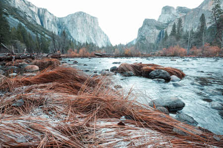 Beautiful fall season in Yosemite National Park, California, USAの写真素材