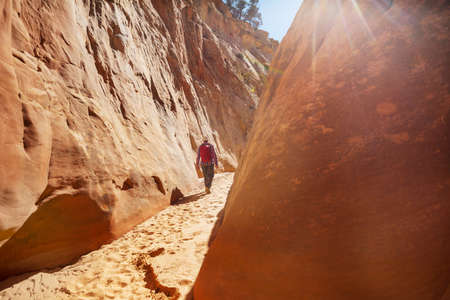 Slot canyon in Grand Staircase Escalante National park, Utah, USA. Unusual colorful sandstone formations in deserts of Utah are popular destination for hikers.の写真素材