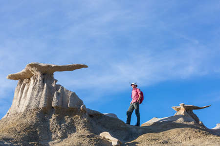 Unusual desert landscapes in Bisti badlands, De-na-zin wilderness area, New Mexico, USA