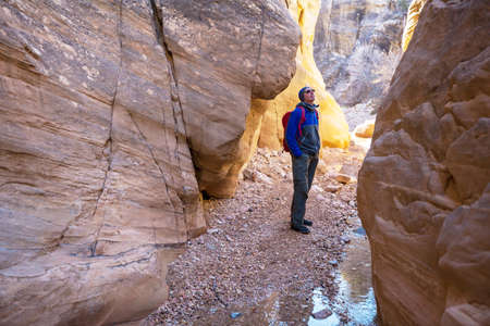 Slot canyon in Grand Staircase Escalante National park, Utah, USA. Unusual colorful sandstone formations in deserts of Utah are popular destination for hikers.の写真素材