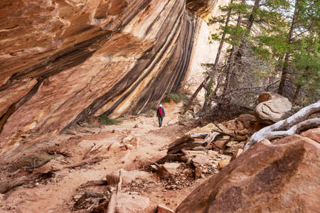 Hike in the Utah mountains. Hiking in unusual natural landscapes. Fantastic forms sandstone formations.の写真素材