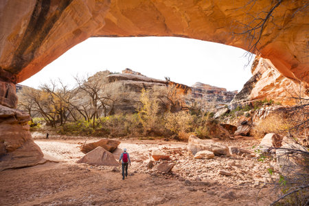 Hike in Natural briges NM, Utah, USAの写真素材
