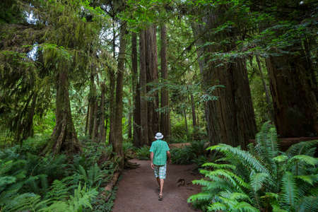 Man hiking bay the trail in the forest.Nature leisure hike travel outdoorの写真素材