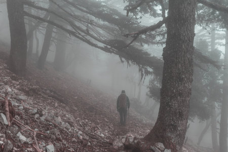 Man hiking bay the trail in the forest.Nature leisure hike travel outdoorの写真素材