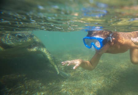 Giant sea turtle underwater in oceanの写真素材