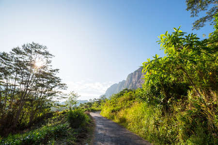 Beautiful green natural landscapes in Sri Lanka mountainsの写真素材