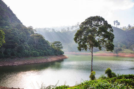 Beautiful natural landscapes in Sri Lankaの写真素材