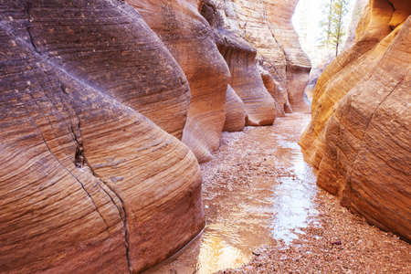 Slot canyon in Grand Staircase Escalante National park, Utah, USA. Unusual colorful sandstone formations in deserts of Utah are popular destination for hikers.の写真素材