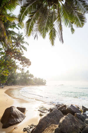 Beautiful summer landscapes  on the tropical beach. Vacation background.の写真素材