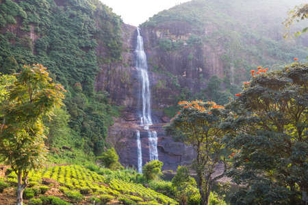 Beautiful waterfall on Sri Lankaの写真素材