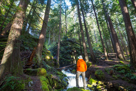 Hiker near  beautiful waterfall in Canadian mountains