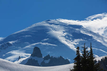 Mount Rainier national park, Washingtonの写真素材