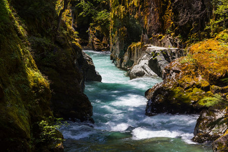 Waterfall at Mount Rainier National Park, Washington, USAの写真素材