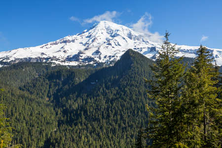 Mount Rainier national park, Washingtonの写真素材