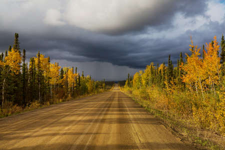 Colorful Autumn scene on countryside road in the forestの写真素材
