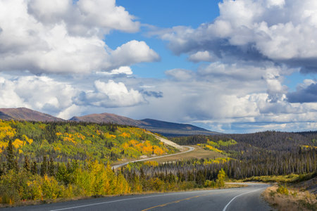 Colorful Autumn scene on countryside road in the forestの写真素材