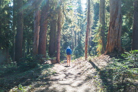Man hiking bay the trail in the forest.Nature leisure hike travel outdoorの写真素材