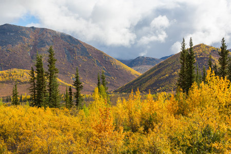 Autumn season in mountains. Colorful natural background.の写真素材