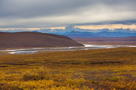Tundra landscapes above Arctic circle in autumn season. Beautiful natural background.の写真素材