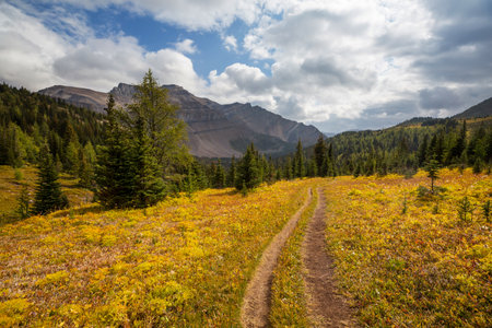 Beautiful autumn season in Canadian mountains. Fall background.の写真素材