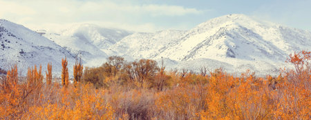 Scenic view of Sierra Nevada Mountain. fall foliage landscape. California,USA.