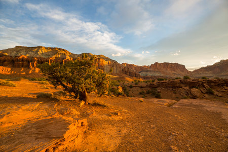 Unusual natural landscapes in Capitol Reef National Park, Utahの写真素材