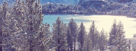 Serenity lake in winter season, Sierra Nevada, California, USAの写真素材