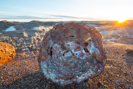Petrified Forest National Park, Arizona.の写真素材