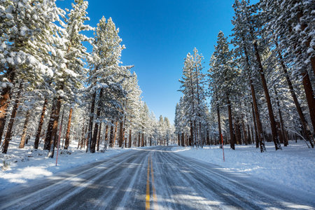 Rural  road in winter season. Beautiful winter forest.