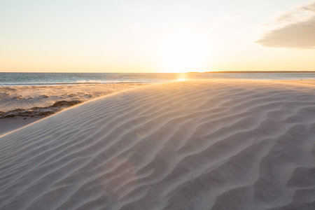 Sandy beach and dunes on the ocean coast. Baja California, Mexicoの写真素材