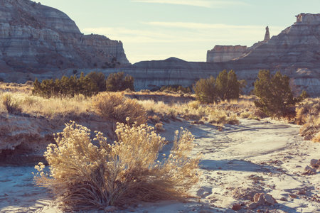 Sandstone formations in Utah, USA. Beautiful Unusual landscapes.の写真素材
