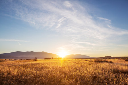 Green fields and mountains silhouette at sunsetの写真素材