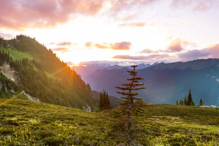 Beautiful mountain peak in  North Cascade Range, Washington,  USAの写真素材