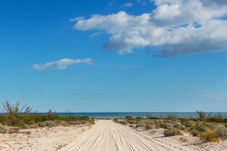 Beautiful natural landscapes in Baja California, Mexicoの写真素材