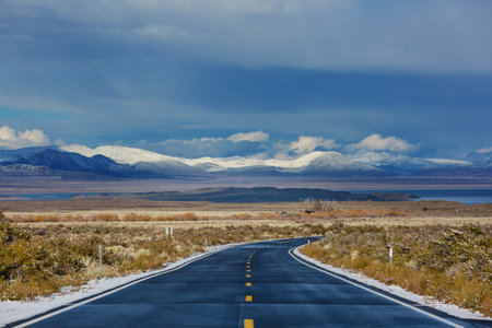 Road in the prairie country. Deserted natural travel background.の写真素材