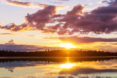 Sunset scene on the lake at sunset summer nature landscapesの写真素材
