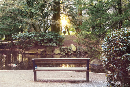 Bench near pond in city parkの写真素材