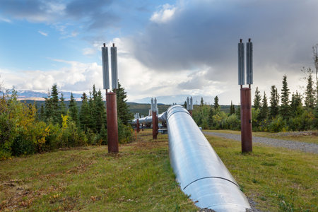 USA, Alaska, Dalton Highway pipeline in valleyの写真素材